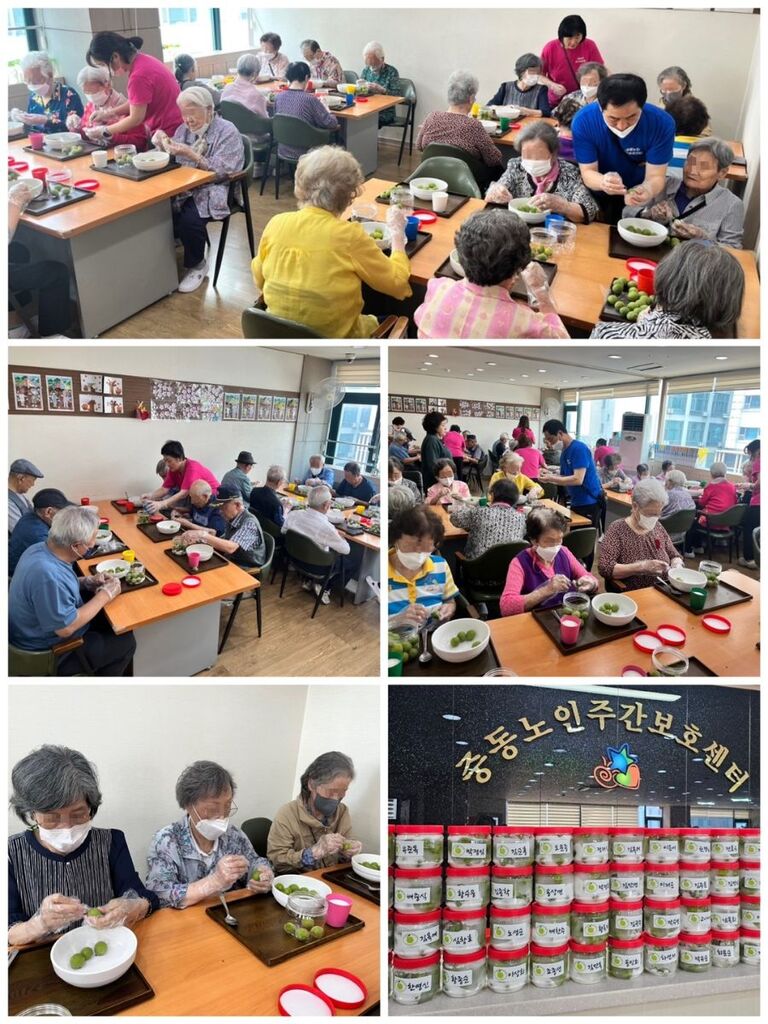 매실청 담그기