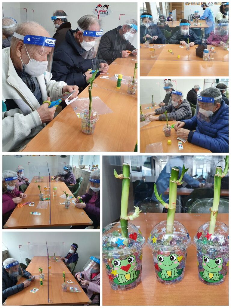 개운죽 화분 만들기